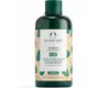 Шампунь The Body Shop shea 250 мл