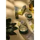 The Body Shop захисний крем для ніг 100 мл, зображення 3