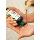 Імбирний шампунь The Body Shop 400 мл, зображення 3
