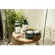 Кондиціонер The Body Shop з ши 250мл, зображення 3