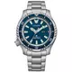 Мужские Часы CITIZEN NY0161-63L