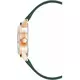 Женские Часы JUICY COUTURE JC1300RGGN, изображение 3