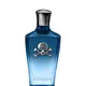 Парфюмерная вода для мужчин Police Potion Power, 50 мл