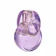 Туалетная вода для женщин Bvlgari Omnia Amethyste, 100 мл