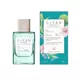 Парфумована вода унісекс Clean H2Eau Amber Cashmere, 100 мл, зображення 2