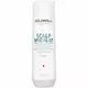 Шампунь для волос Goldwell Dualsenses Scalp Specialist Anti-Dandruff, 250 мл
