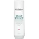 Шампунь для волос Goldwell Dualsenses Scalp Specialist Anti-Dandruff, 250 мл, изображение 2
