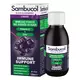 Сироп для підтримки імунної системи Sambucol Immuno Forte Sugar Free, Black Eldeberry, Vitamin C & Zinc, 120 мл, зображення 2