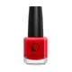 Лак для ногтей Diego Dalla Palma Makeup Nails 225 Bloody Mary, 14 мл